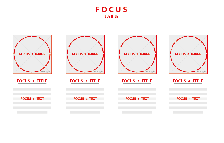 focus section